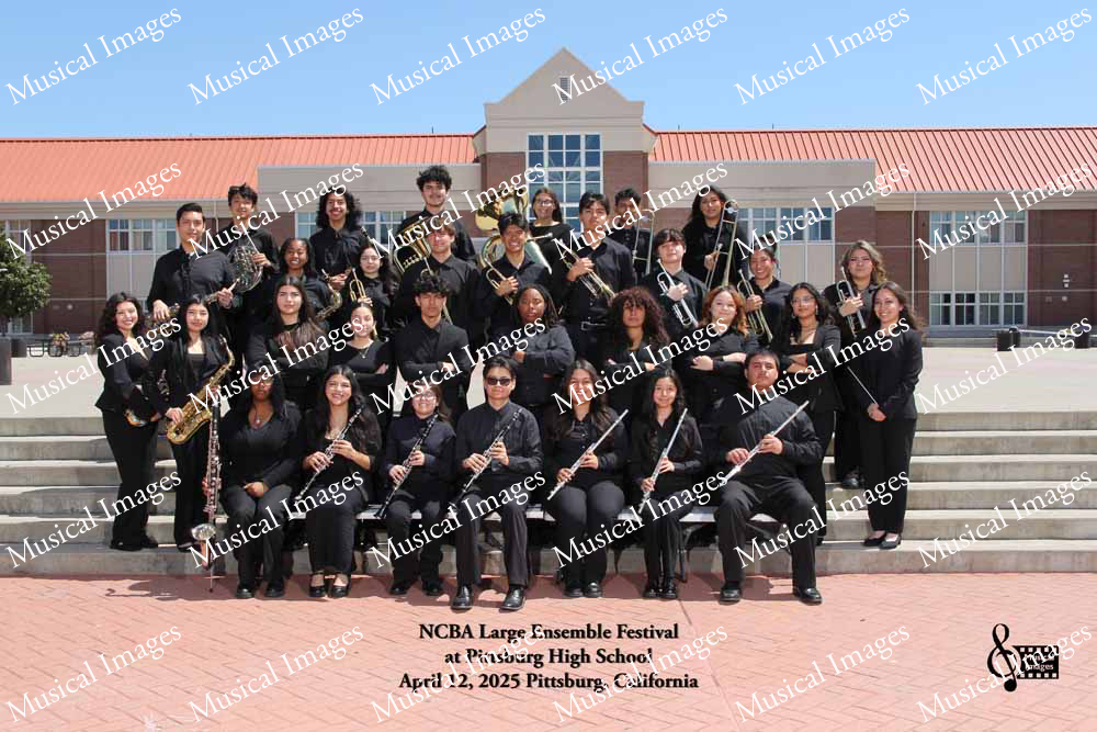 Musical Images